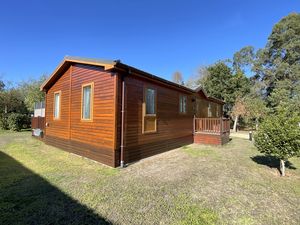 HOMESTEAD LAKE- click for photo gallery